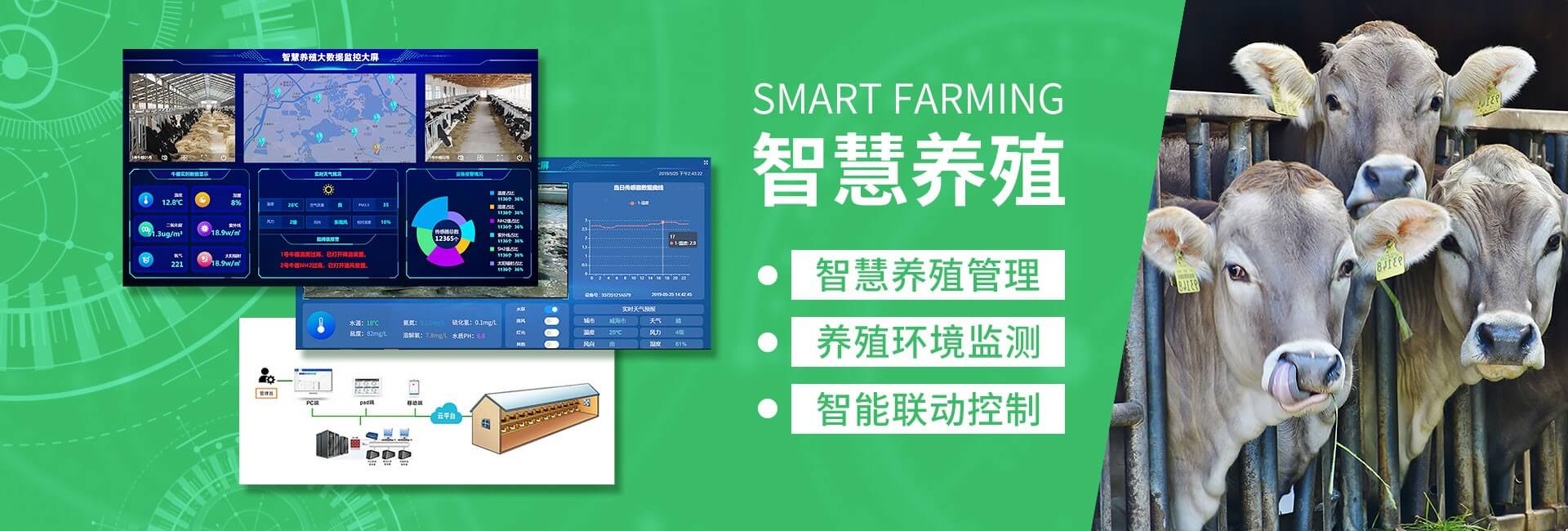 智能养殖